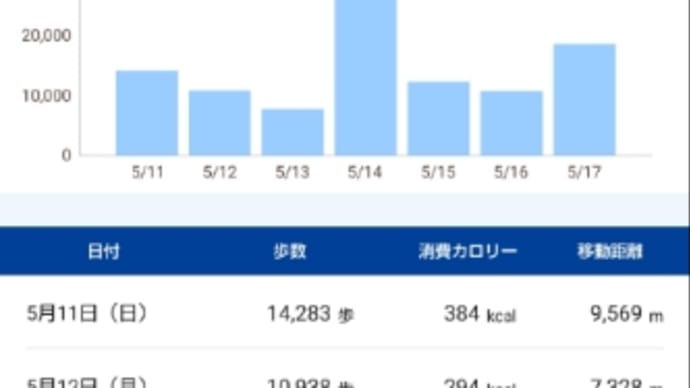 1週間を振り返ると