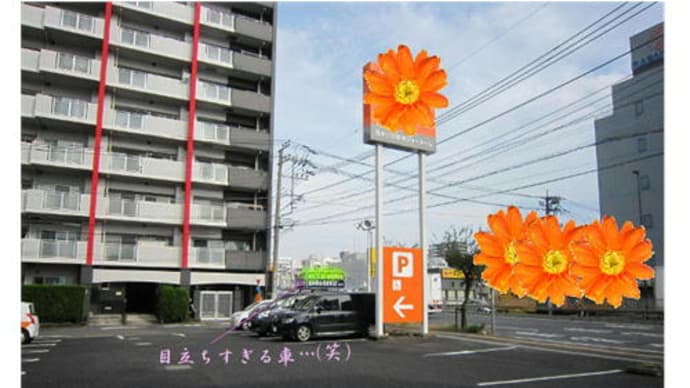 慣れない行動に 疲労困憊…