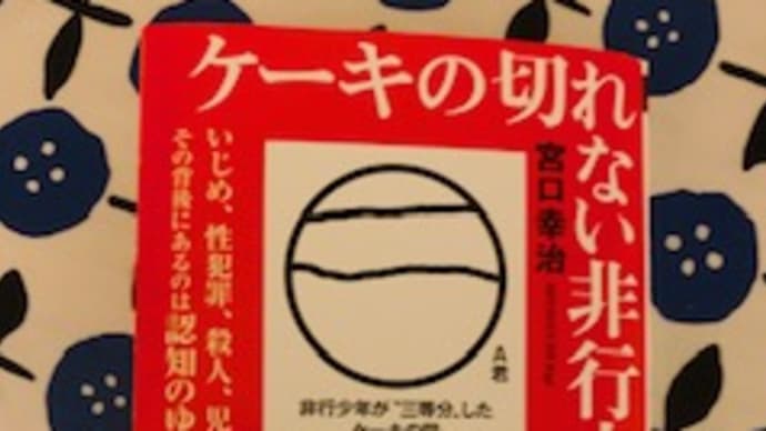 「ケーキの切れない非行少年たち (新潮新書)」宮口幸治 2020-53