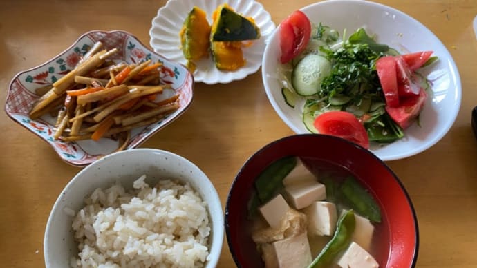 憧れを超えた侍たち 世界一への記録