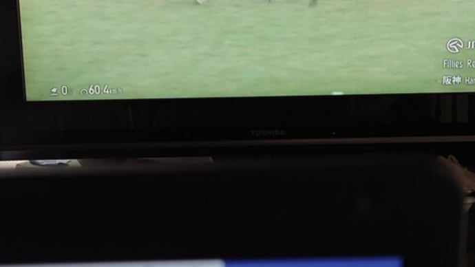チェルビアット〜フィリーズレビュー2着