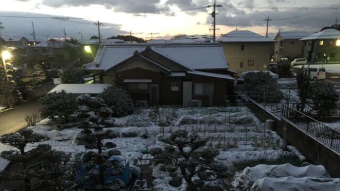 菜園ライフ⓮~寒い一日でした!