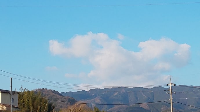 落ち着いたので散歩の続きを