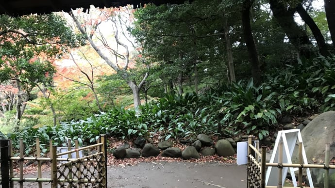 旧古河庭園・と～っても綺麗な日本庭園