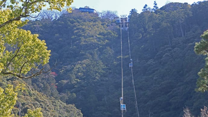 岐阜公園 3