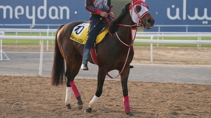 【パンサラッサ】追い切り開始、ファン投票最終順位は15位(^^)