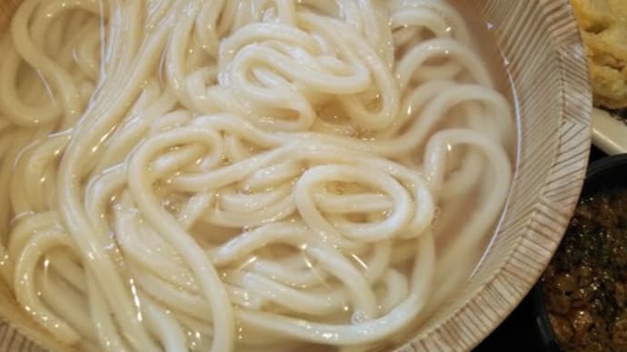 丸亀製麺あきる野 釜揚げ大牛蒡、蓮根天 【20210519】