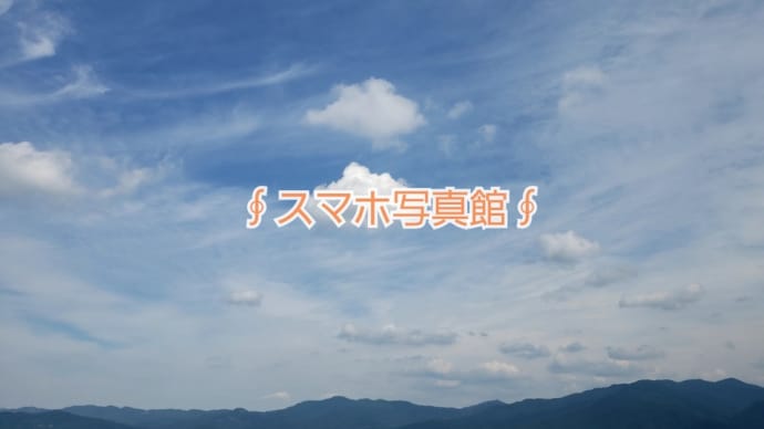 ∮スマホ写真館∮