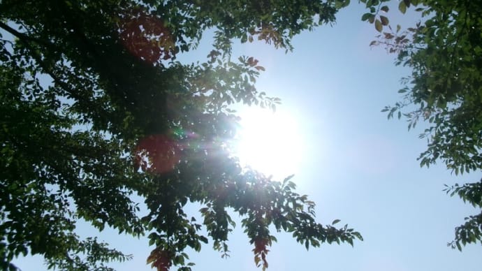 ここで一句が浮かんでこない