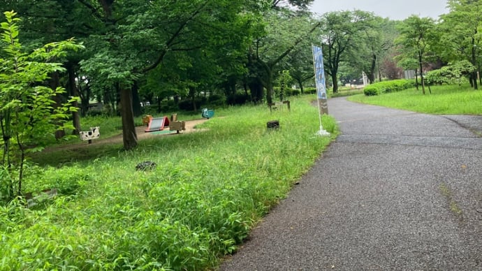 小雨歩き
