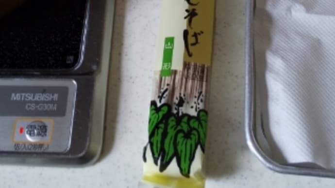 昼は天ぷらそば。