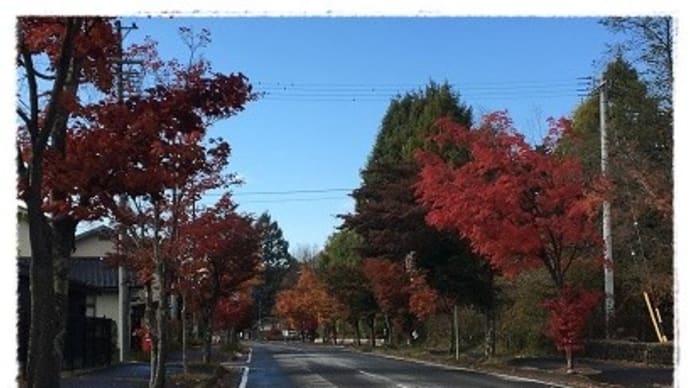 日本一時帰国の話　　~軽井沢の景色～ 