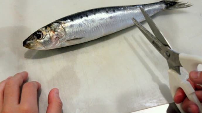 【YouTube】簡単&楽ちん!料理のプロが教える、イワシの捌き方・手開き・蒲焼き/2歳~小学生・中学生の親子クッキングもOK!初心者向け
