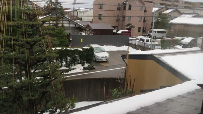 ☆道路への倒木で問われる　山の所有と境界の問題
