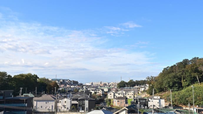 11月08日 今日は冷えました。