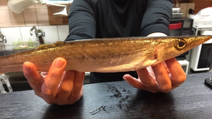 カマスの塩焼き