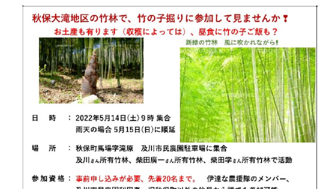 筍掘りのイベントを企画‼　無料で参加できます、先着20名様まで。
