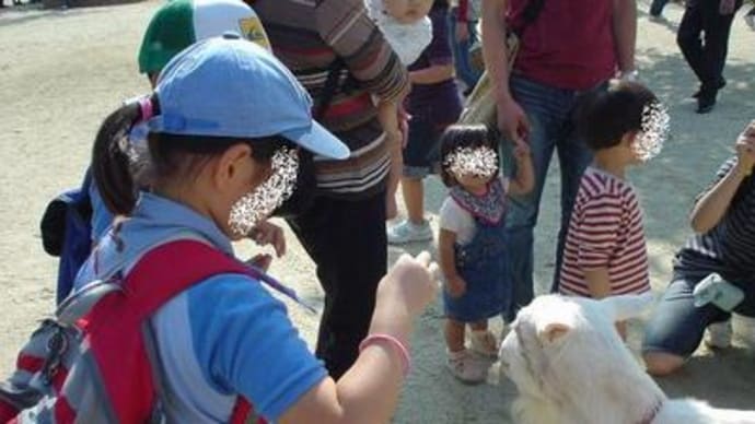 子ども動物園