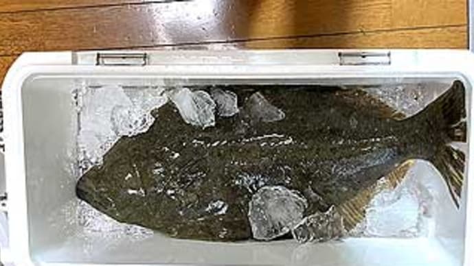 F様のヒラメ釣行(御宿岩和田港、太平丸)。