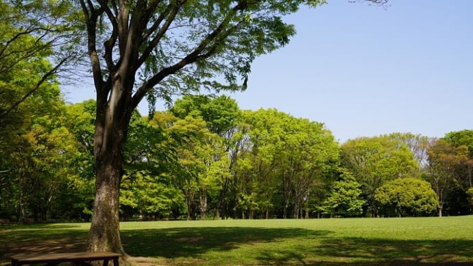 百花繚乱のように春の多彩な情景の中、80歳の私は、きままに散策すれば・・。
