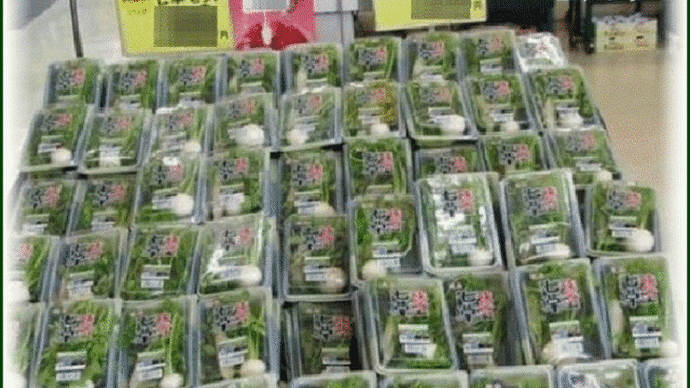 予め購入してあった食材パックを使って「七草かゆ」を作り、今朝家族揃って食べて・・・