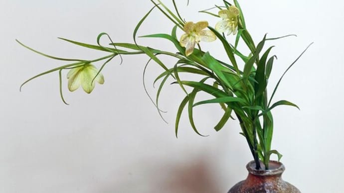 無用の用│花信