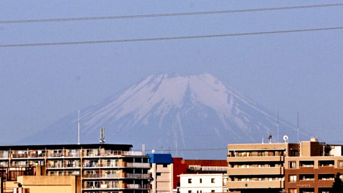 05月29日 真夏日になりました。