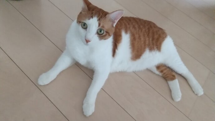 帰ろう