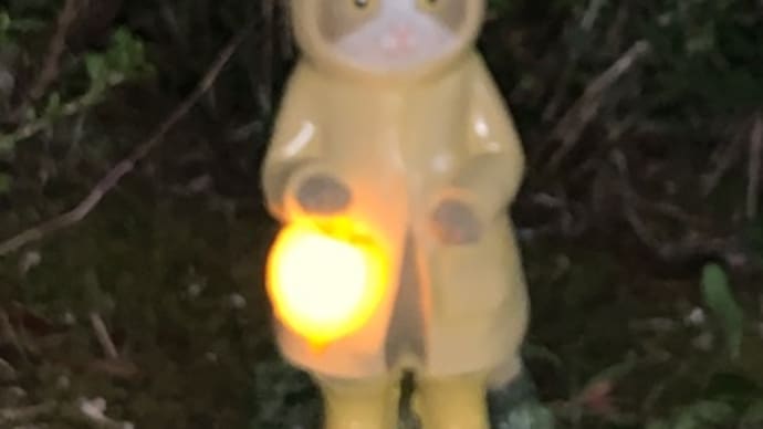 ネコチャン
