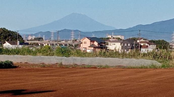 冠雪した富士山頂見て ひとりごと