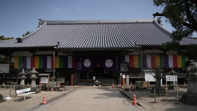 岡崎・豊田、家康ゆかりの地と花見旅5・大樹寺