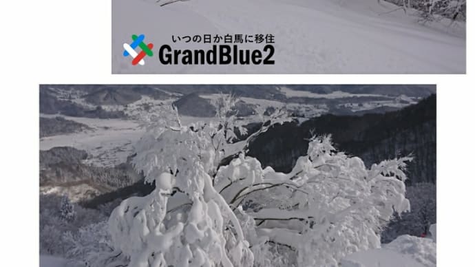 大雪な北部エリア♪新雪満喫♪
