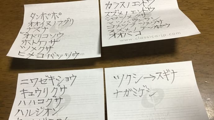 校庭の隅に咲く花