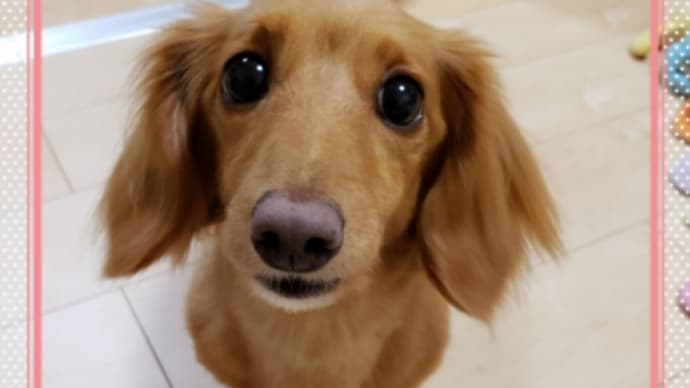 お知らせ☆