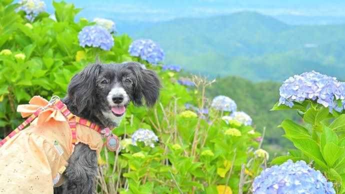 大河原高原でお散歩 ①