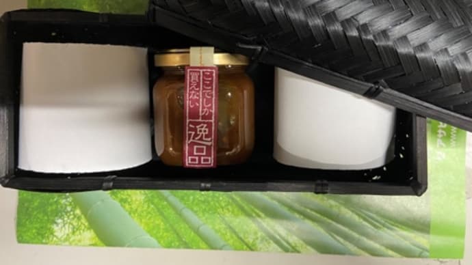 【#こだわりの苗】万願寺とうがらしに小さな蕾発見㊗️早速、ミヨビ液散水!