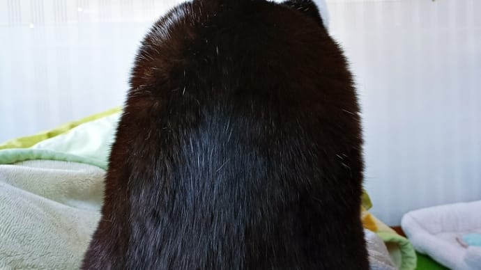 重い