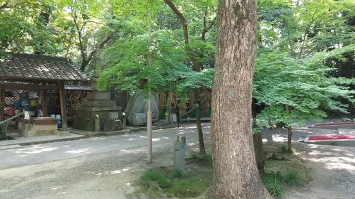 まのんの4周忌