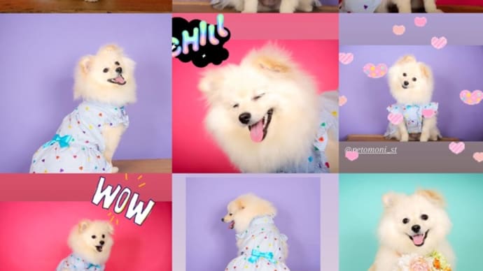 オーダーのお客様からの素敵なお写真のご紹介 NO.8