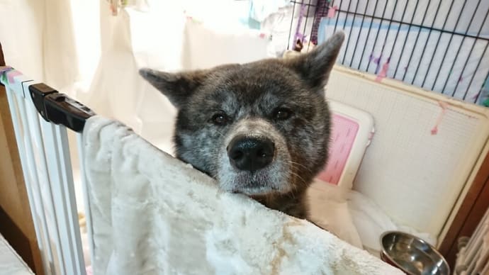 エアコンの修理屋さんが来た
