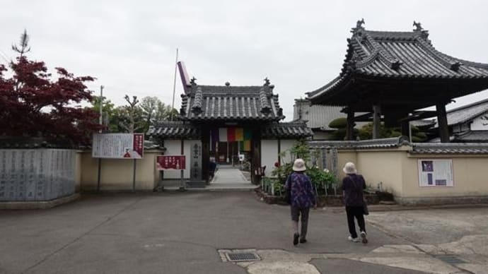 牡丹を見に行ったよ