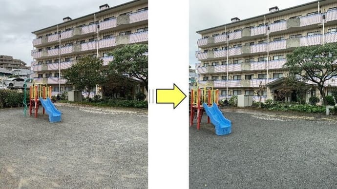 公園敷地内植物の手入れ作業