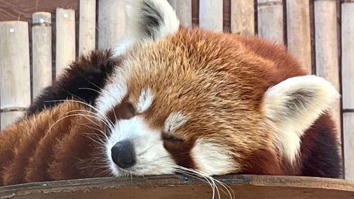 癒しのひととき