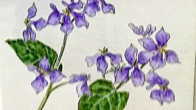 昨日終日雨・今朝降水確率20％・土曜GG実施！帰路図書館『植物水彩画一木一草展』！