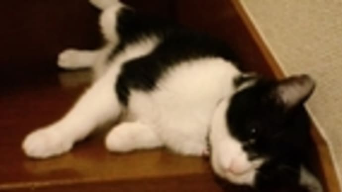 連休明けのだるだる