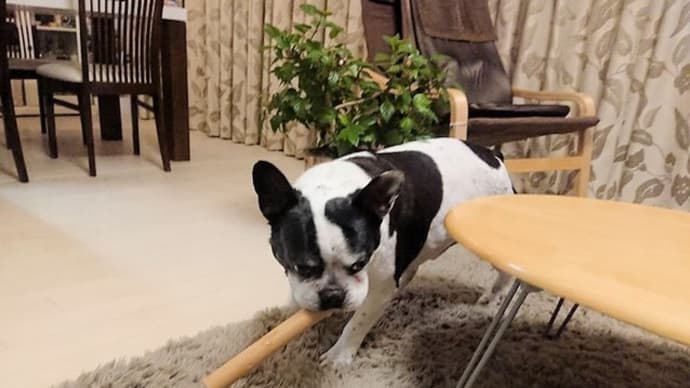 もてあそばれてる。。。