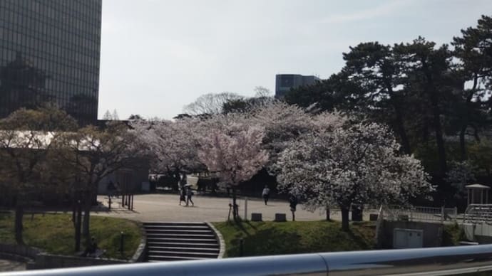 思い出の小倉さんぽ④桜と小倉城
