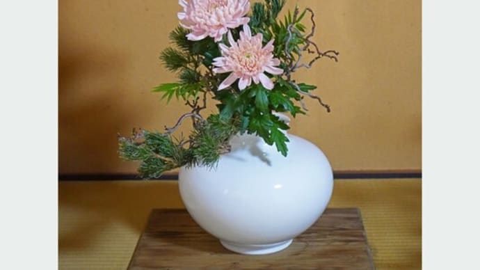 一片の氷心 玉壷に在り│花便り