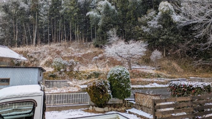 雪の朝