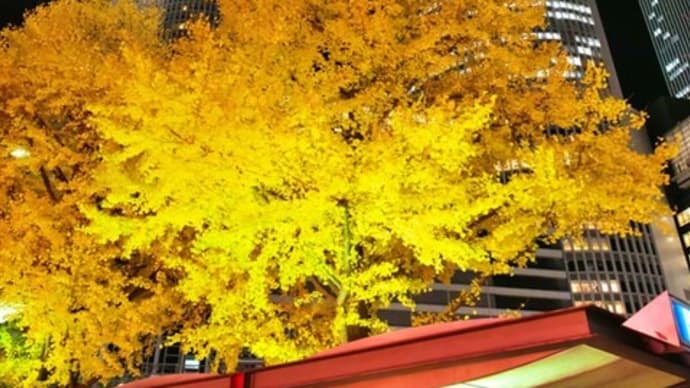 年末の名古屋駅周辺さんぽ